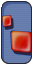 ガラゴピアス＋１